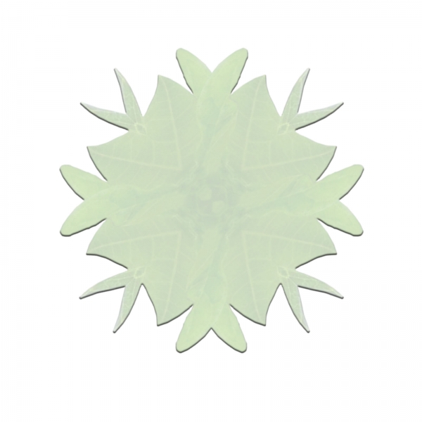 Creation of psychadelic plant: Step 11